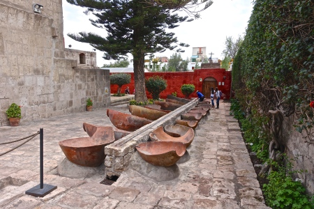 DSC02833