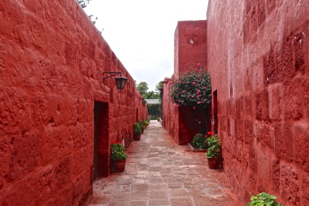 DSC02837